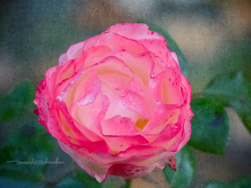 20151104-170024-30003