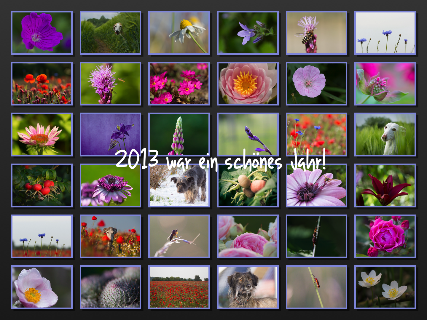 2013 war toll!